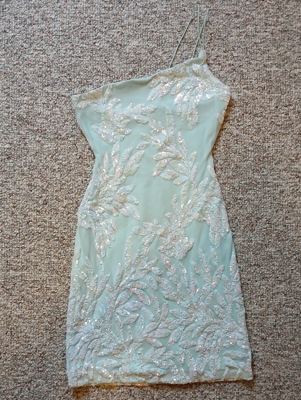 Windsor Mint Sequin Embellished Mini Dress